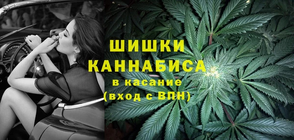 ешки Алзамай