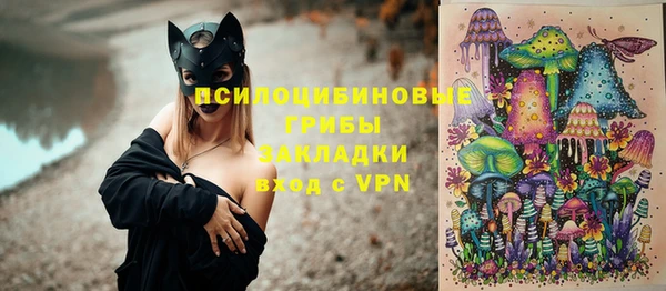 молекула духа Алексин