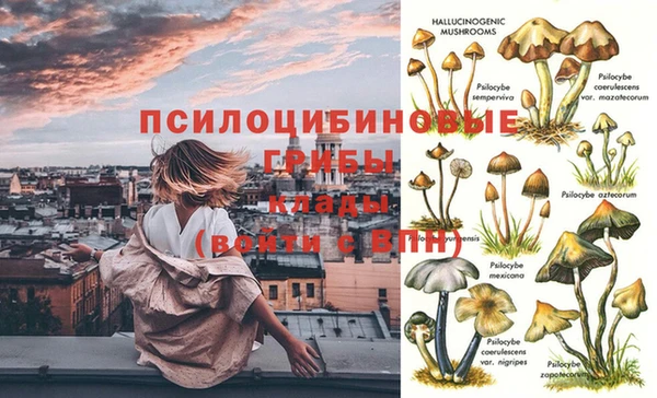 ешки Алзамай