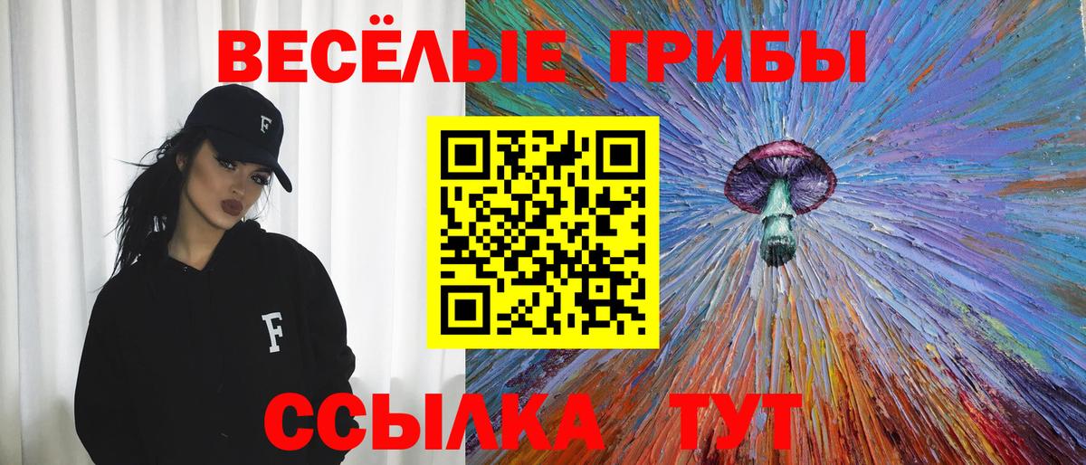 Псилоцибиновые грибы Magic Shrooms  Вход с VPN  закладка  Красноярск  Галлюциногенные грибы Cubensis 